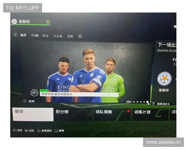 英超狐狸 英超狐狸