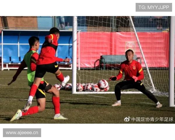 足球教练执教表现与战术执行效果分析