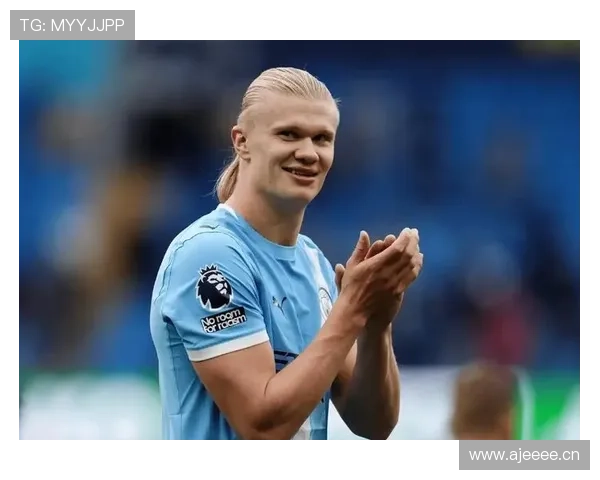 哈兰德效率与体系贡献是否被高估